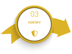 Fortify-1 Fortify-1